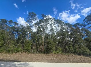 20 NE 796th St, Old Town, FL 32680