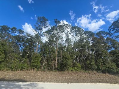 Lot 20 NE 796th St, Old Town, FL, 32680
