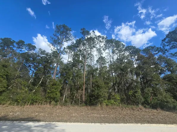 Lot 20 NE 796th St, Old Town, FL 32686