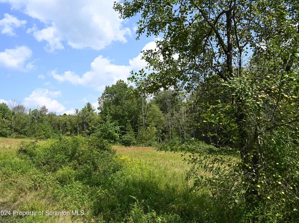 1260 Graham Hollow Rd, Hallstead, PA 18822