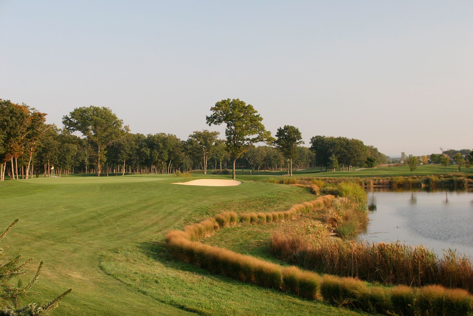 The Links