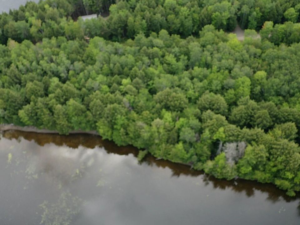 1st image of Lot 7 Black Cat Point