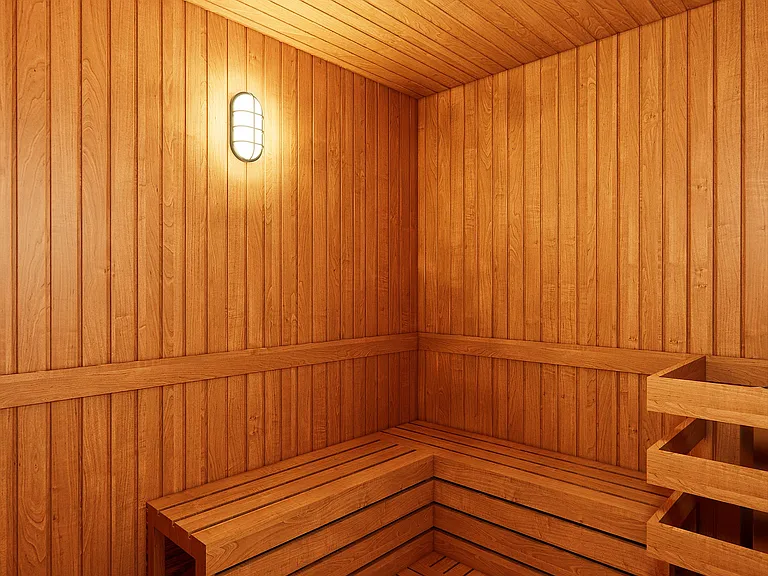 Sauna-1