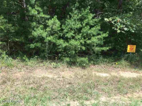 Crest View Dr, Sunbright, TN 37872