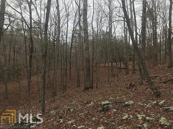 3rd image of 4536 Shoreline Dr