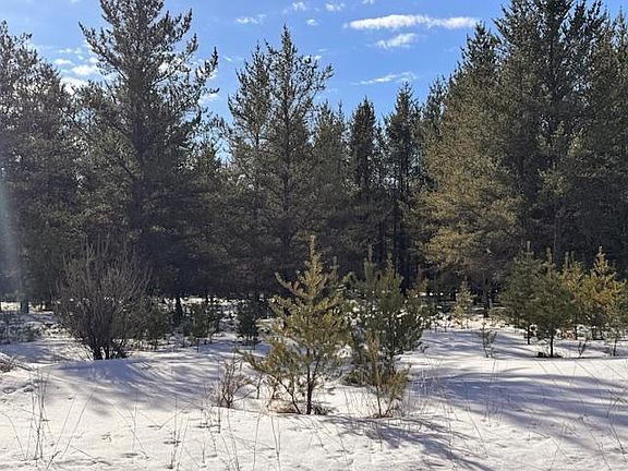 4th image of Tbd Pine Cone Dr