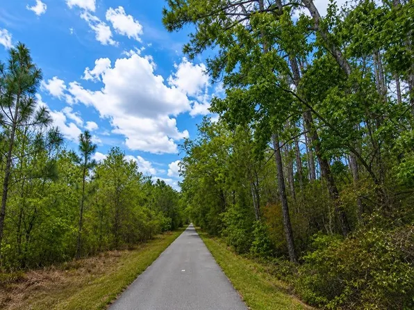 00 VAN FLEET TRAIL, POLK CITY, FL 33868