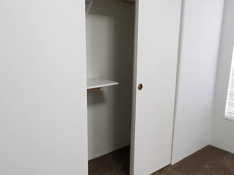 Master BR Closet #2