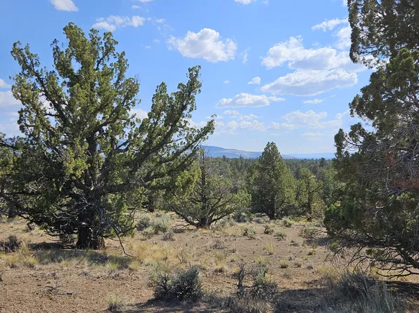 SE Sycamore Ln, Prineville, OR 97754