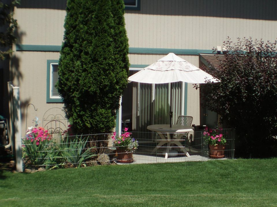patio and rear yard