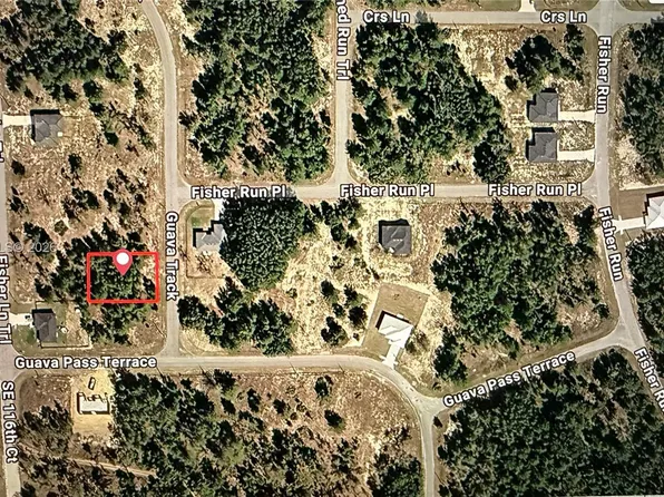 0 Guava Trak, Ocklawaha, FL 32179