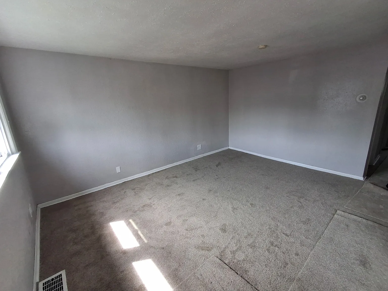 2 bed, $1,300 — Photo 3