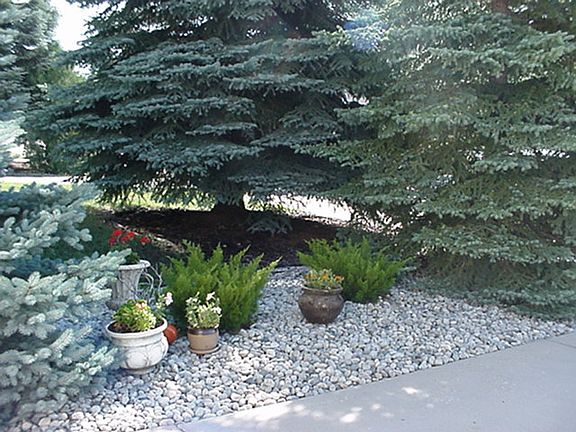 FRONT LAWN DECORATIVE ACCENT