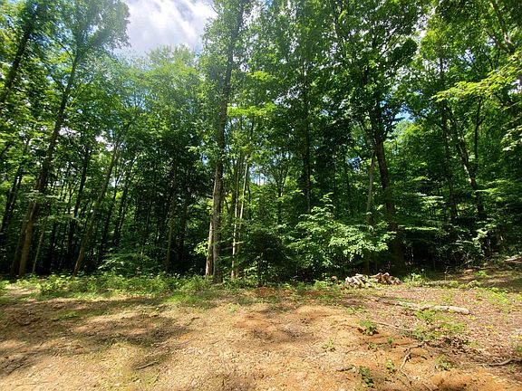 2nd image of Creek Dr