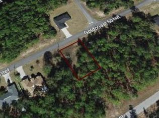 60 W Goldcoast Pl #800, Dunnellon, FL 34434