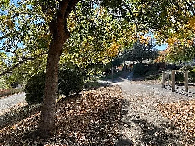 Trail with Par Course