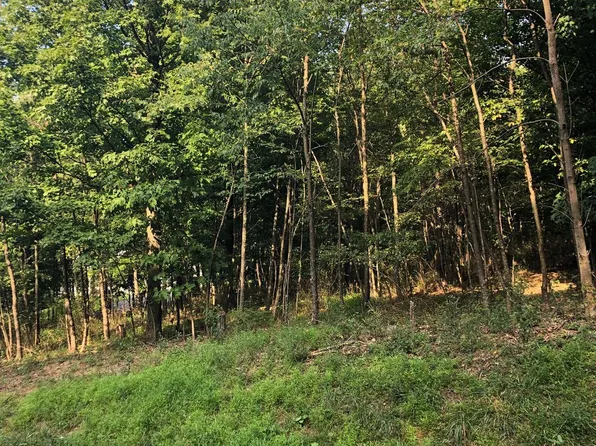 Harwood Dr, Eckhart Mines, MD 21528