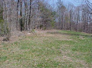 2nd image of 10270 New Chapel Rd