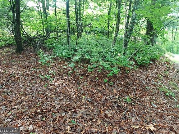 2nd image of LOT Three Jiminy Peak