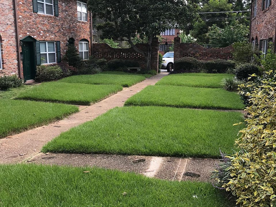 1st image of 710 N Gadsden St APT 5