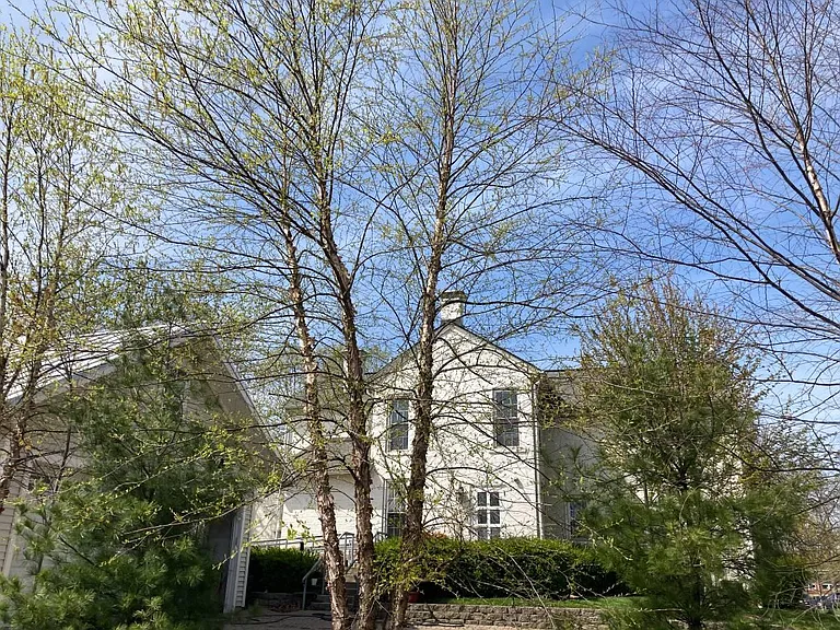 135 E Walnut St — Photo 3