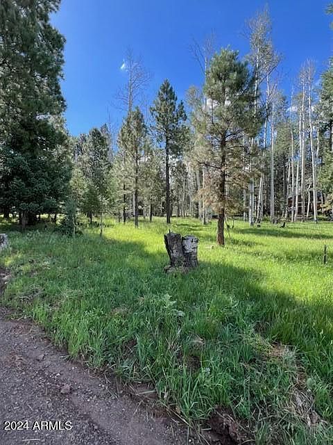 2nd image of 7105 W FREEDLINE Drive #35