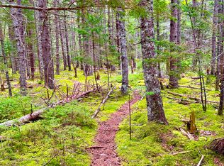 101 Freeman Ridge Rd, Southwest Harbor, ME 04679