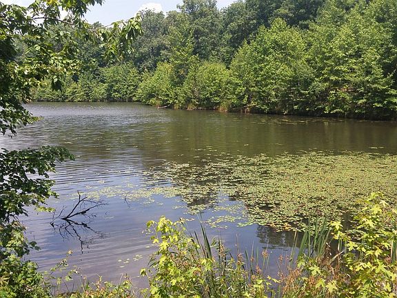 4th image of 0 Trussell Creek Trl Lot 181