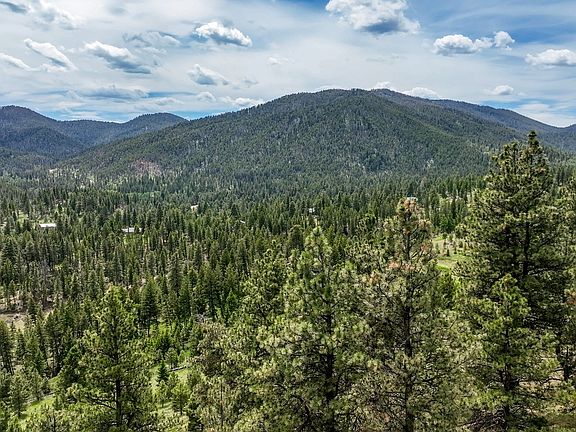 4th image of New Orleans Lode Grizzly Gulch Dr