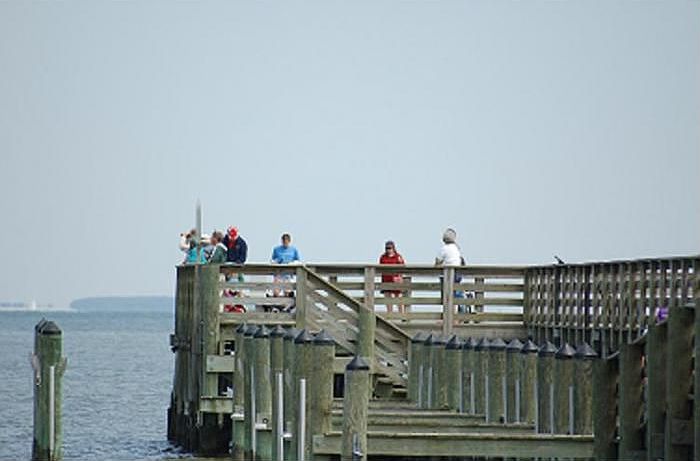 Fish on the Bay
