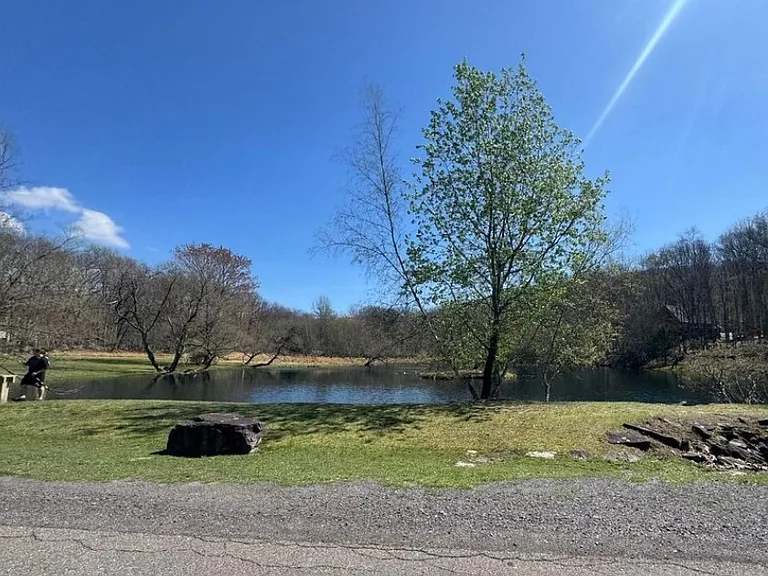 227 Avalanche Ln — Photo 6