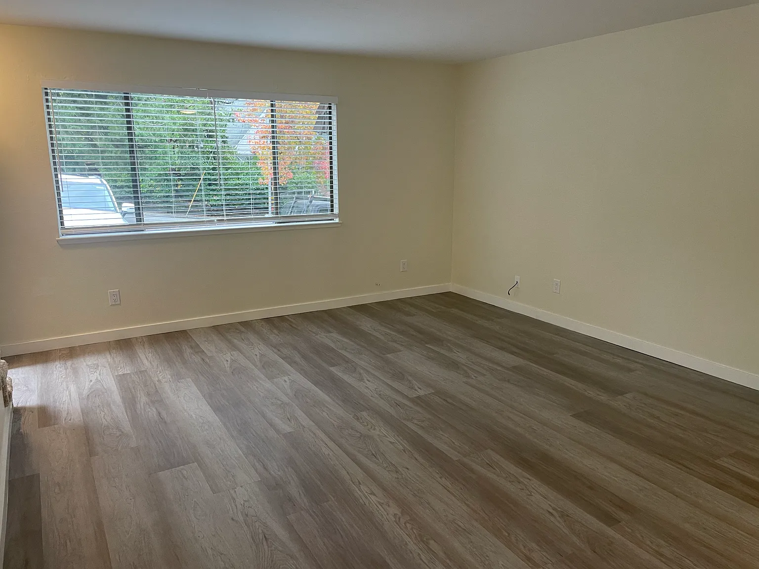 2 bed, 1.5 bath, 1000 sqft, $2,150 — Photo 4