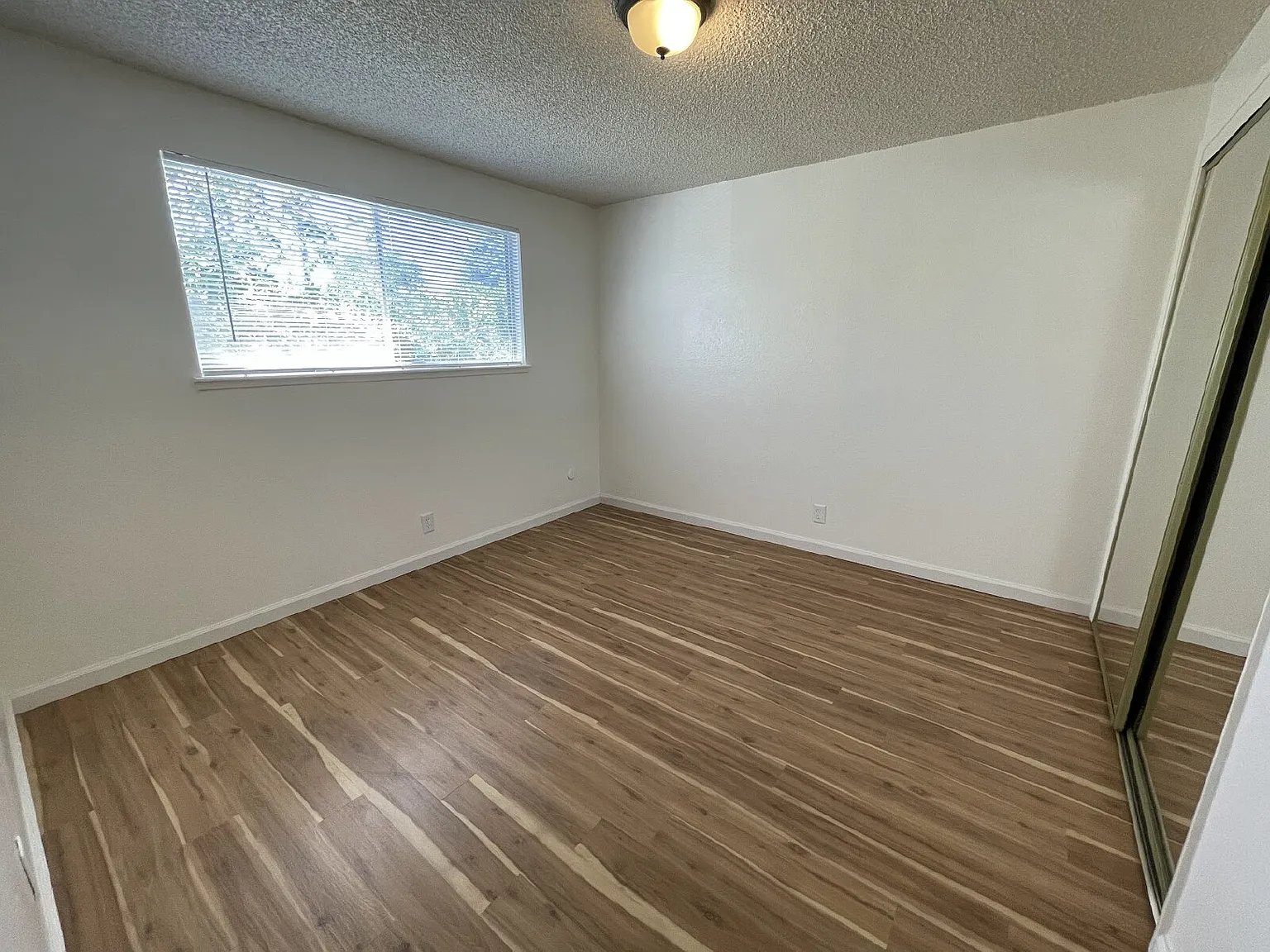 2 bed, 1.0 bath, 780 sqft, $1,500 — Photo 4