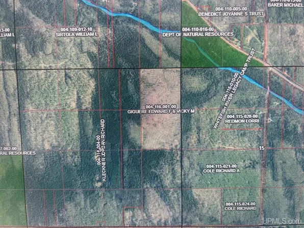 Tbd Diffin Rd, Trenary, MI 49891