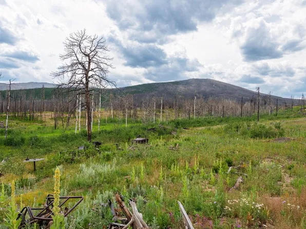 529 Quartz Rd, Bellvue, CO 80512