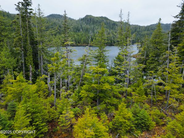 L4b4 Setter Lake Rd, Thorne Bay, AK 99919