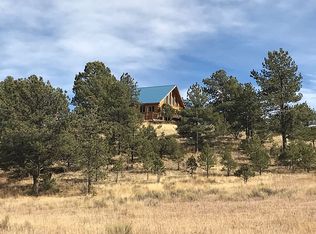 463 Choctaw Trl, Westcliffe, CO 81252
