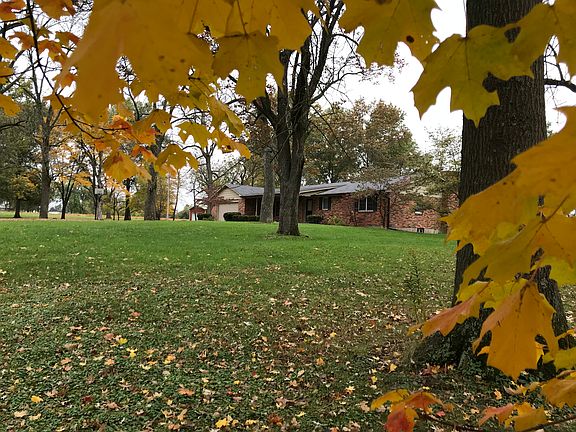 Fall colors
