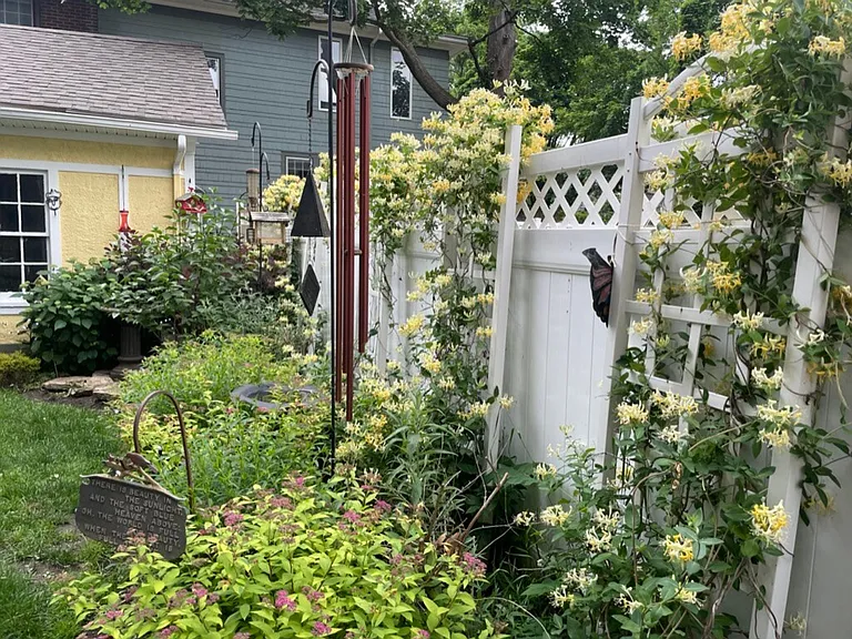 Neighborhood