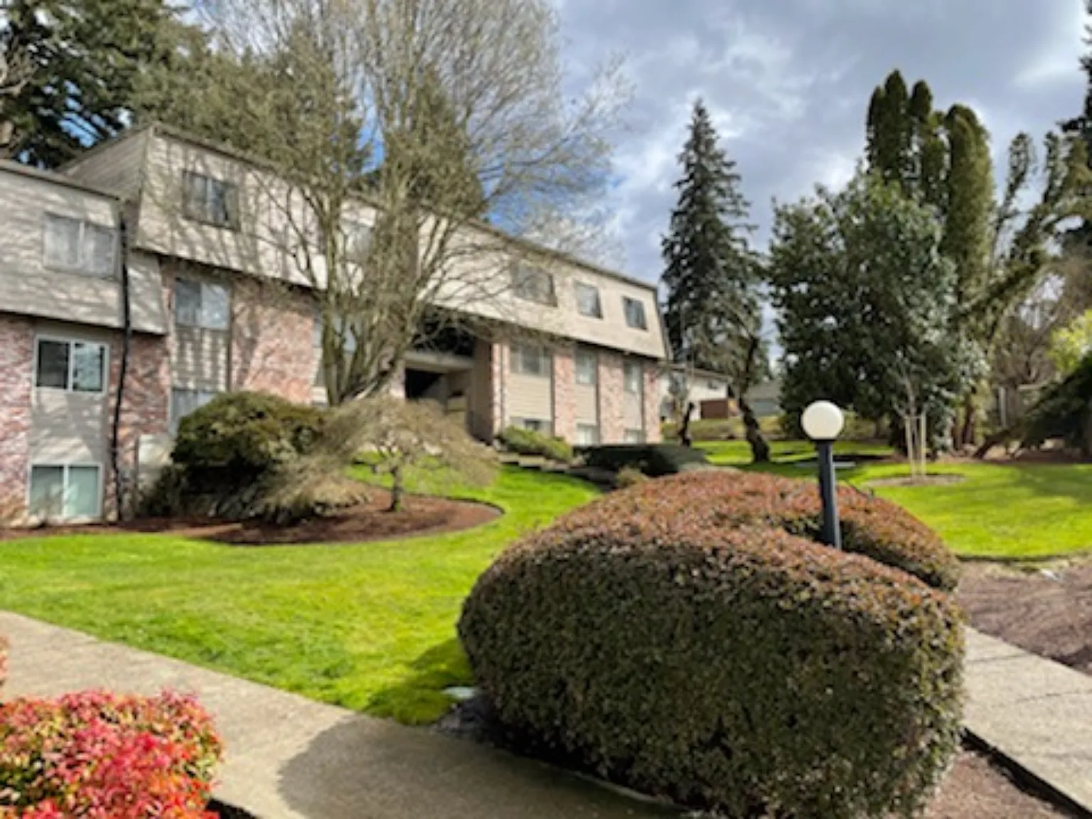 Fir Terrace — Photo 1