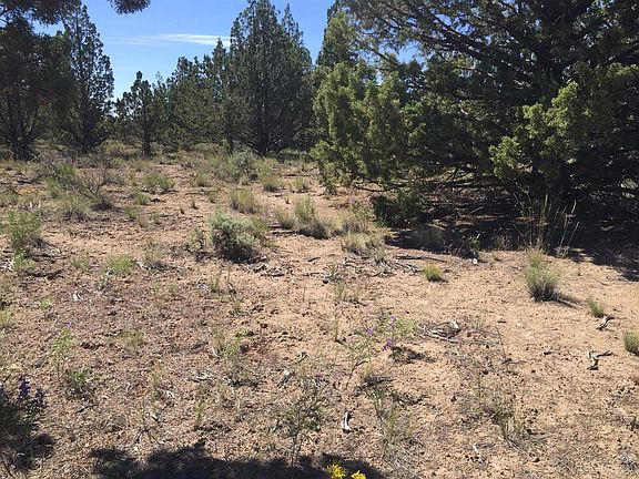 4th image of 13591 SE Lost Lake Dr