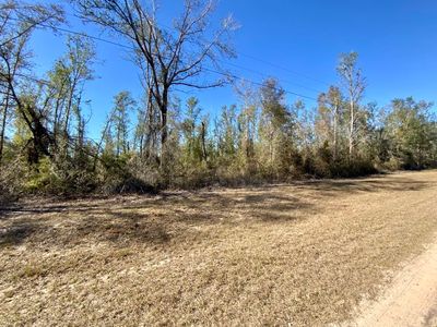Vacant Se Olustee Dr, Lee, FL, 32059