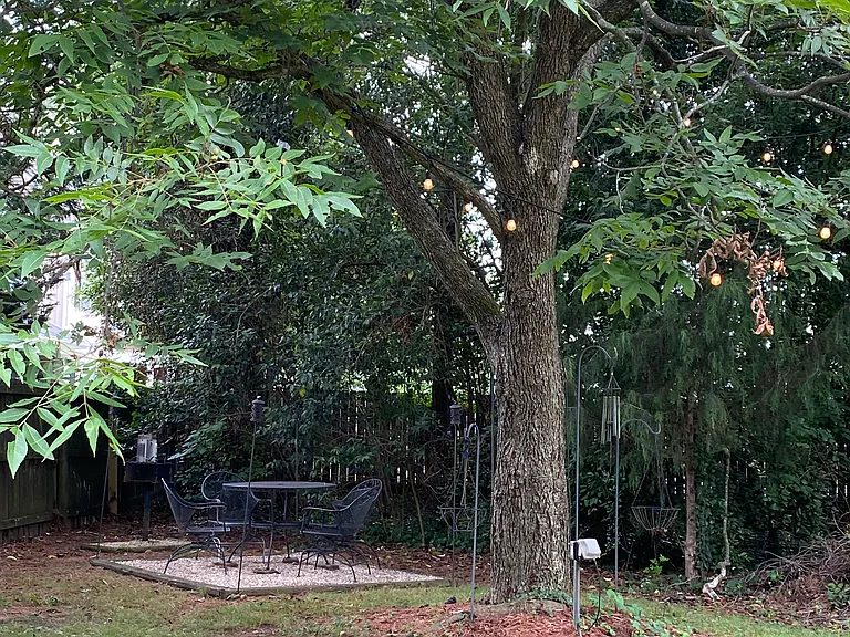 Picnic area and grill area under shade of a pecan tree
Yard furniture is included