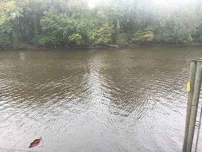 2 bed, 952 sqft, $3,500 — Photo 4