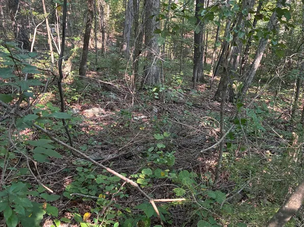 1 Crooked Hill Private Dr, Falkville, AL 35622