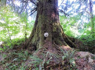 500 N River Rd, Montesano, WA 98537