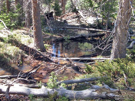 4th image of Sand Creek Park