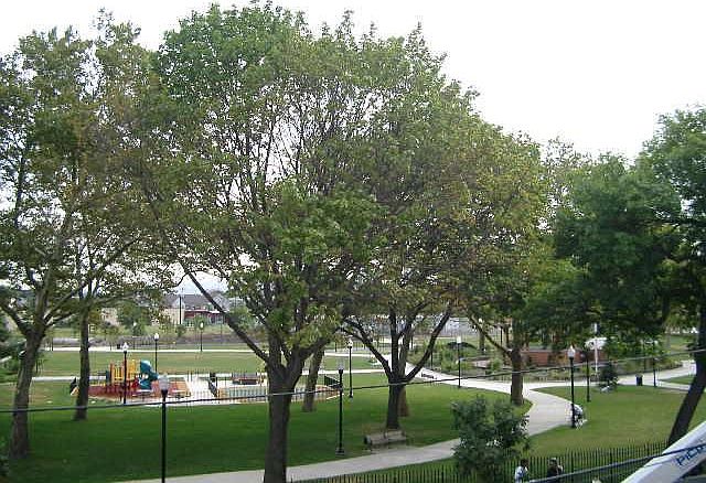 View From Bedroom Window