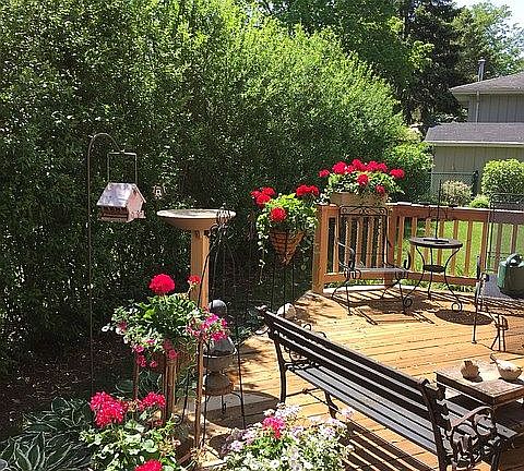 5th image of 8519 Spruce Dr