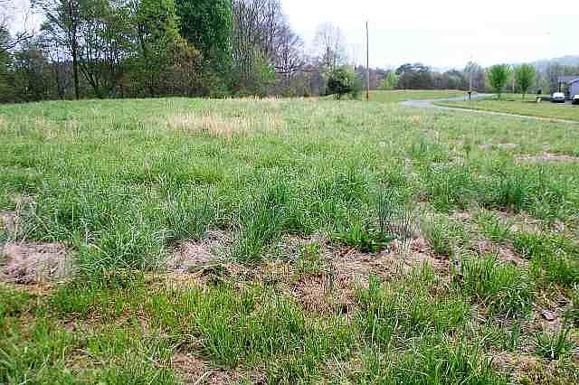 2nd image of Map 051d Lot 20
